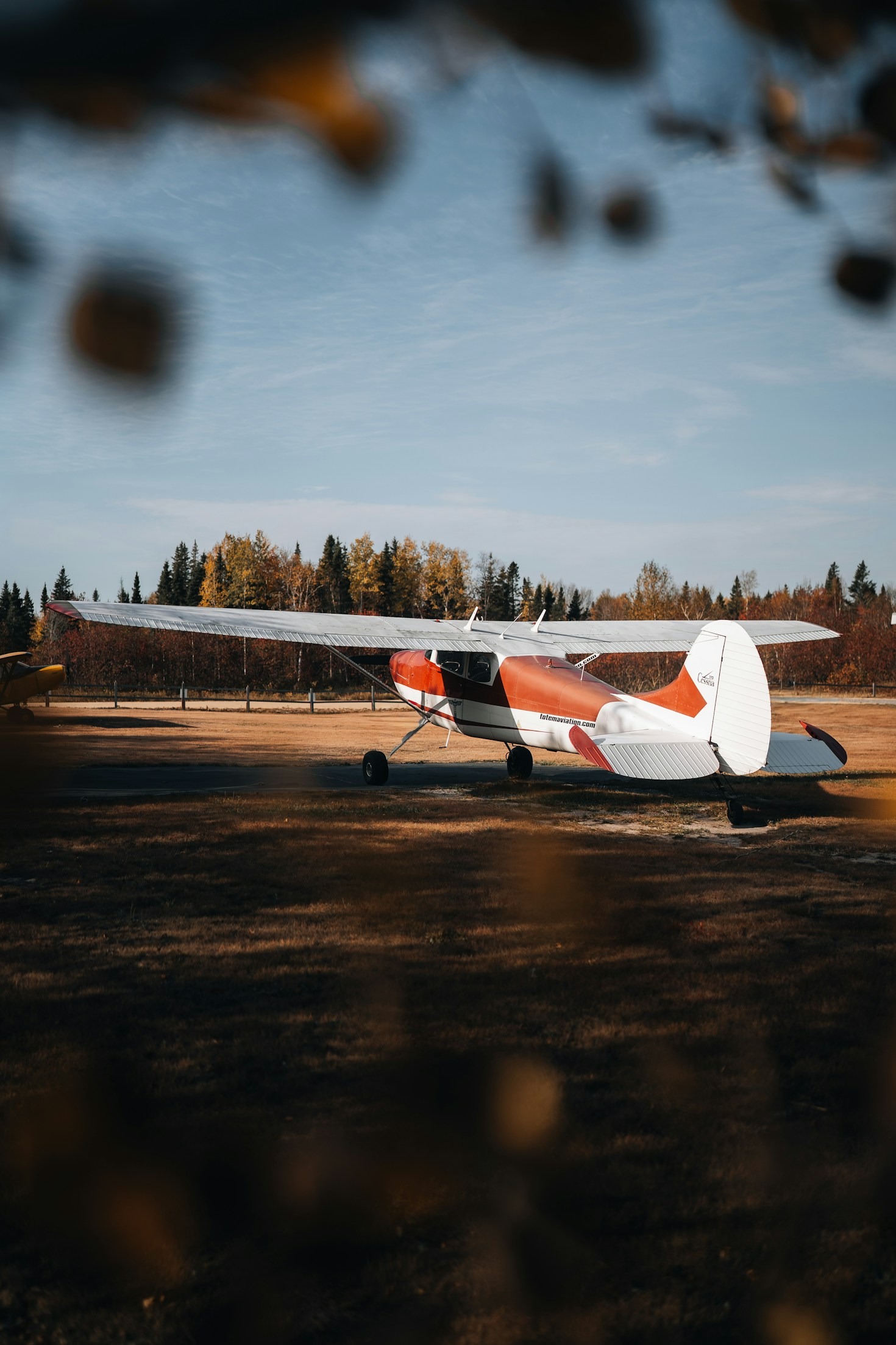 How to Start Your Journey as a Pilot